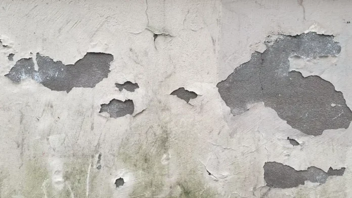 Mur d'appartement présentant des taches de moisissures et des signes d'humidité