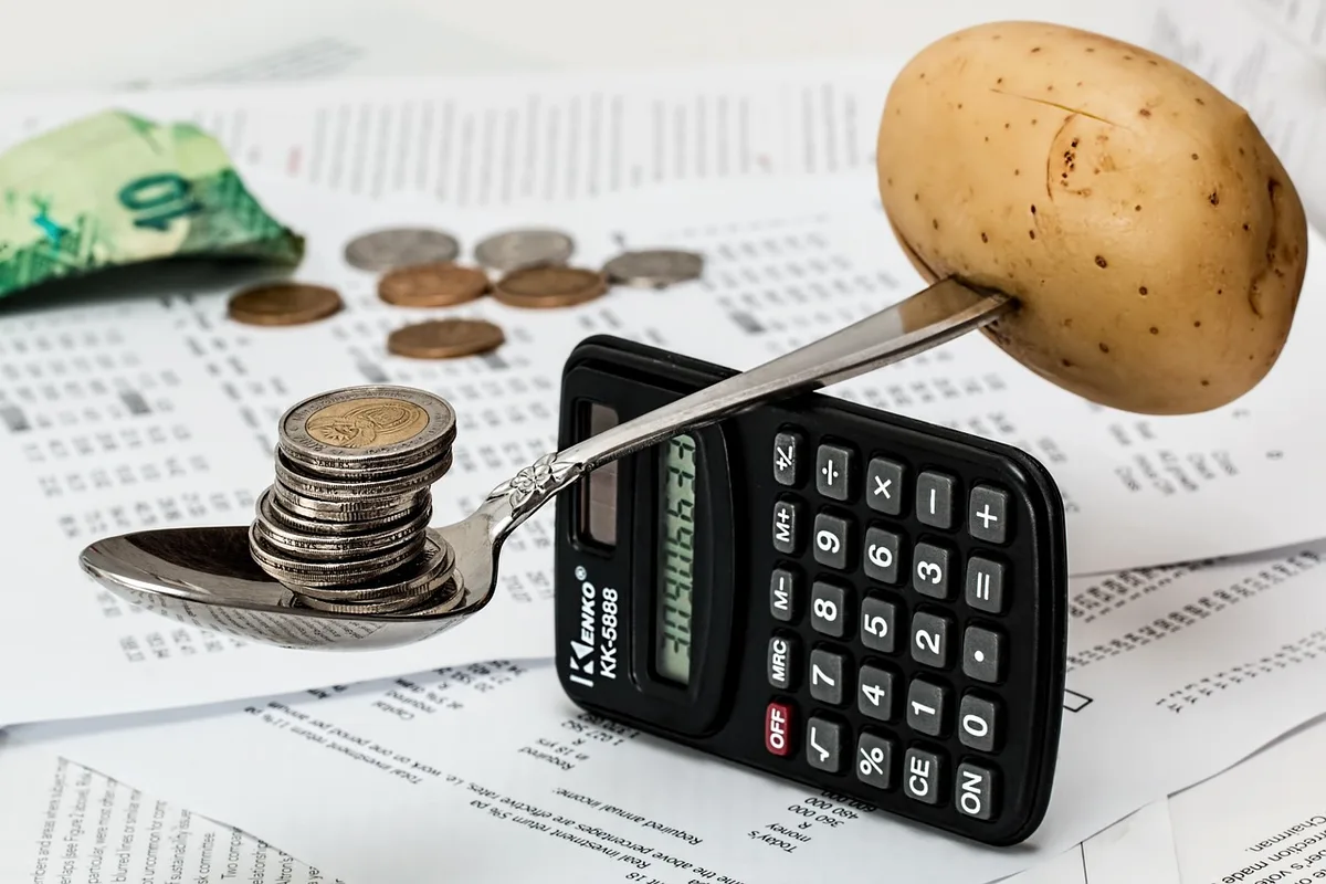 Tableau de calcul des coûts et budget annuel d'un site web